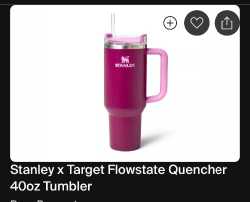 Stanley 40z Tumbler 