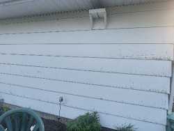 X-90 Siding