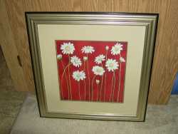 picture of daisys