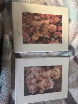 Anne geddes pictures 