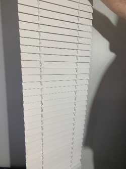 Brand new blinds