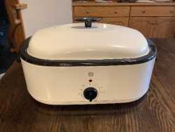 Electric roaster