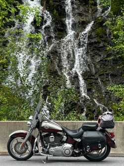 Harley Davidson