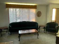 Antique Couch &amp; Chair