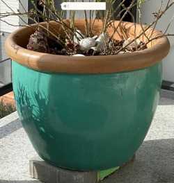 Large Flower Planter